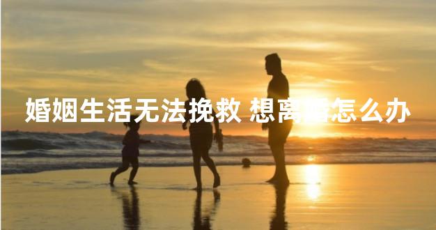 婚姻生活无法挽救 想离婚怎么办